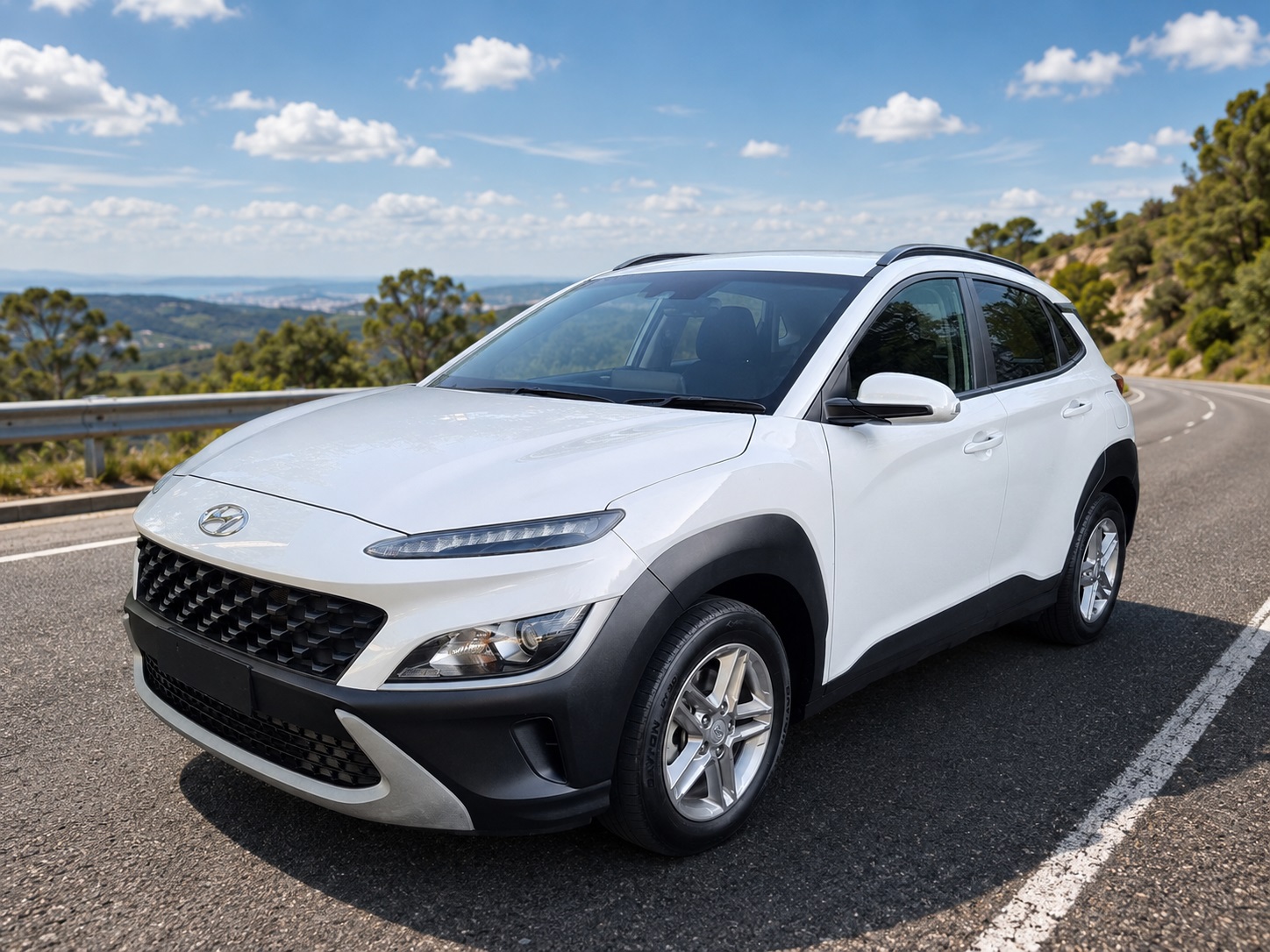 Rental vehicle